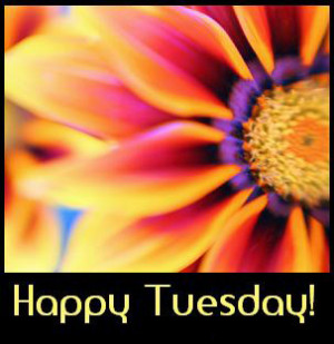 Terrific Tuesday! 1-10-2012