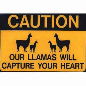 ... .llamaproducts.com/assets/product_pics/caution_llama_heart_magnet.jpg