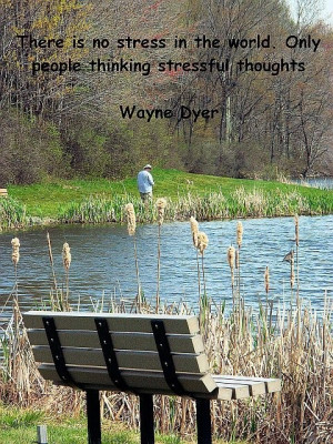 Wayne dyer, quotes, sayings, on stress, thoughts