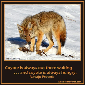 Native American Proverb, Navajo [16064]