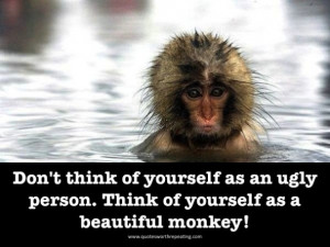Here are some funny monkey pics.....