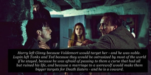 Both Ginny and Tonks were in for it anyway, yet while everbody gives ...