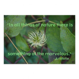 Aristotle Nature Quote Poster
