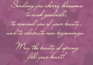 Cherry Blossom Wishes