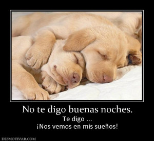 desmotivaciones buenas noches amor-64284_no_te_digo_buenas_noches.jpg