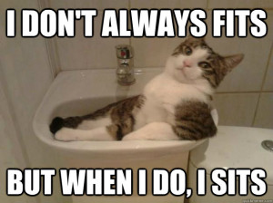 Most interesting cat in the world
