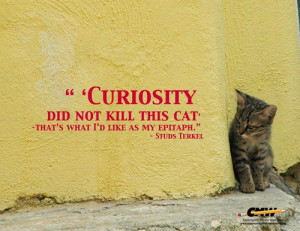 Studs Terkel #quote 