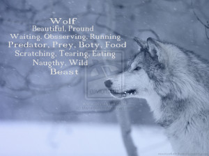 Wolf Poems Of Love Diamante poem: ''wolf'' by