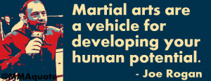 Joe Rogan on Martial Arts and Human Potential