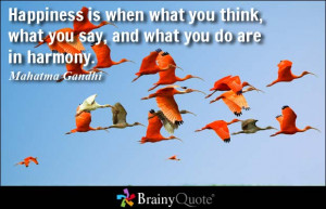 ... think, what you say, and what you do are in harmony. - Mahatma Gandhi