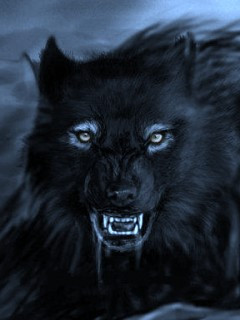 Thread: Good old ghostwolf