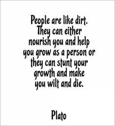plato more olive grove quotes cit plato ton co op ideas awesome quotes