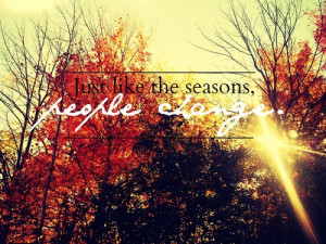 autumn, fall, leaves, quotes, trees, truth