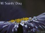 All Saints' Day (2015-11-01)