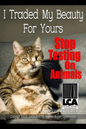 STOP TESTING ON ANIMALS! #LOreal #Garnier #Avon #EsteeLauder #Dove # ...