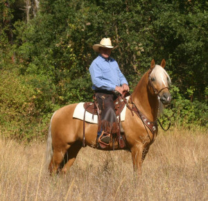 Western Horse Riding Quotes Between horse and rider.