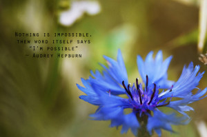 Macro Flowers with a twist