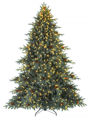 Christmas Tree Yahoo News