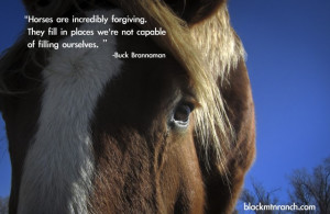 Horse Quotes and Cowgirl Quotes… with some Cowboy Quotes too