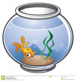 Fish Bowl Filled With Water...