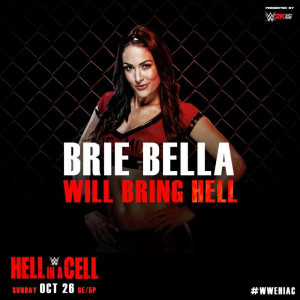 Brie Bella Hell In A Cell 2014
