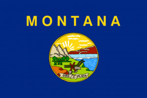 State Flag Of Montana