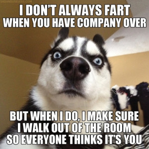 Dog Quotes Funny
