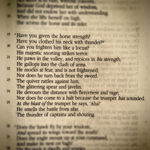 full of expression.”