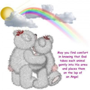 The angels are holding and watching over my furbabies ♥