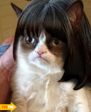 Funny Quot Grumpy Cat Meme...