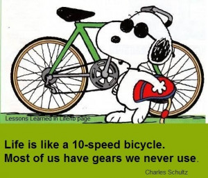 Life bicycle quote