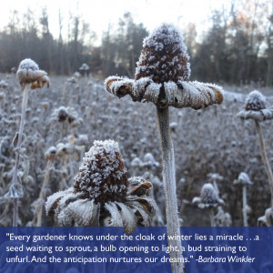 Winter Season Quotes We love finding garden quotes