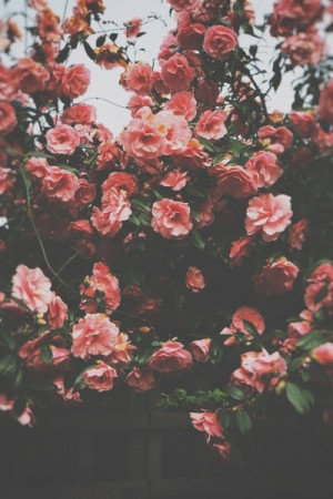 quote Black and White life tumblr text depressed depression quotes ...