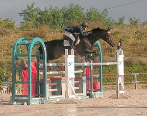 the jumping seat with the knees shoulders and head in front of the ...