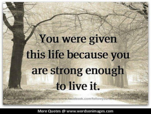 Quotes about not being good enough