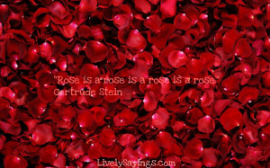Rose is a Rose is Rose is a Rose