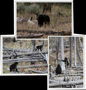 rights. That is the way of a whole human being.”