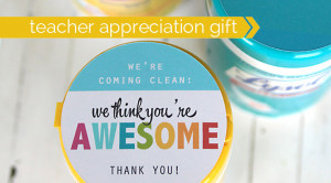 ... this post: 20 cheap, easy & practical teacher appreciation gift ideas