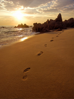Footprints in the sand on beach near San José del Cabo, Mexico at ...