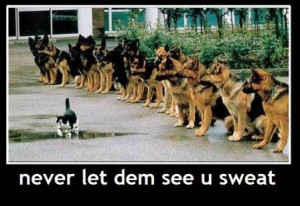 willie123softwares : Weekly Stress Relief Funny Quotes, 4 January 2013