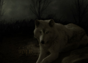 Dark Wolf by JohwMatos