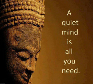 quiet mind is all you need