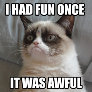 Grumpy Cat I Had Fun Once Picture