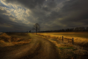 Vintage Road Old Wallpaper Desert 102640 Picture