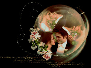 Edward and Bella wedding anniversary