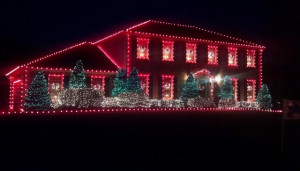 Funny christmas lights on houses