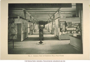 General view of exhibition hall (first floor)&