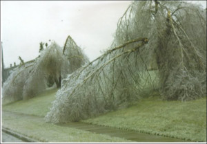 Lexington Kentucky Ice Storm Feb 2003 Image
