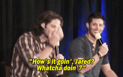 quotes made by me supernatural Jensen Ackles Jared Padalecki dallascon ...