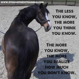 horse quote